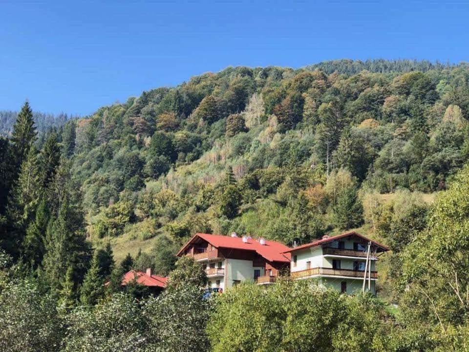 Лісова Казка Otel Slavske Dış mekan fotoğraf